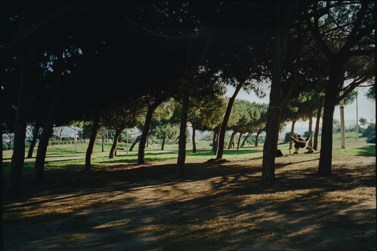 Kai Bauer tweet media