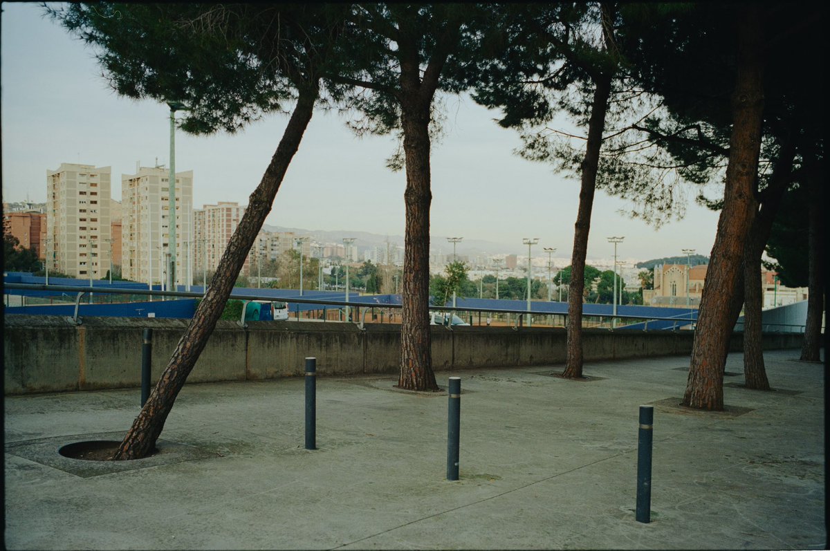 Kai Bauer tweet media