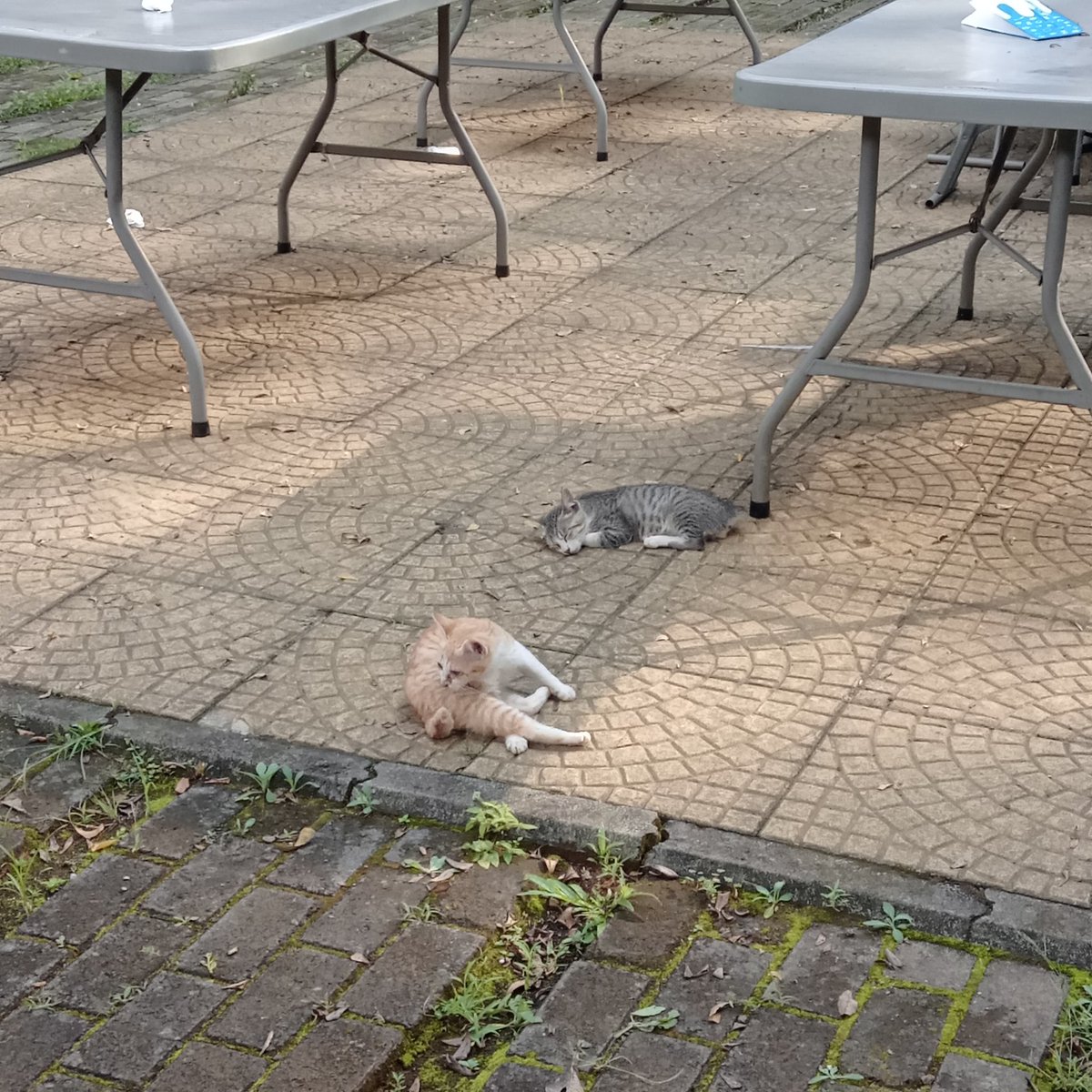 ☆Ai —愛 tweet media