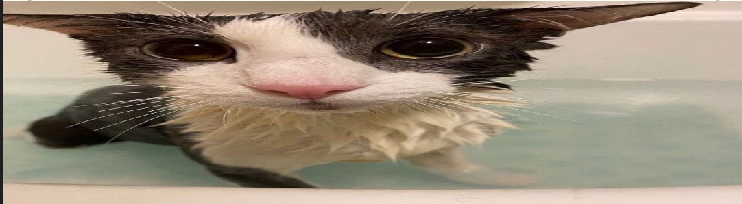 leninfemme tweet media