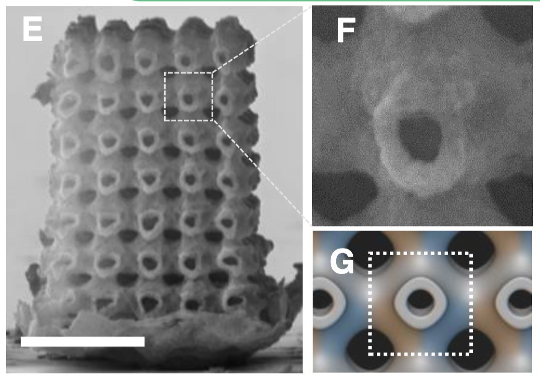 outside five sigma tweet media