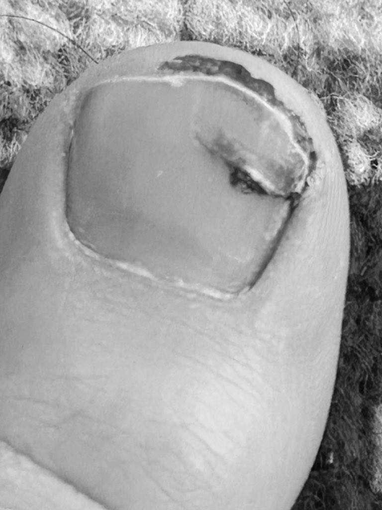 far 🪼 tweet media