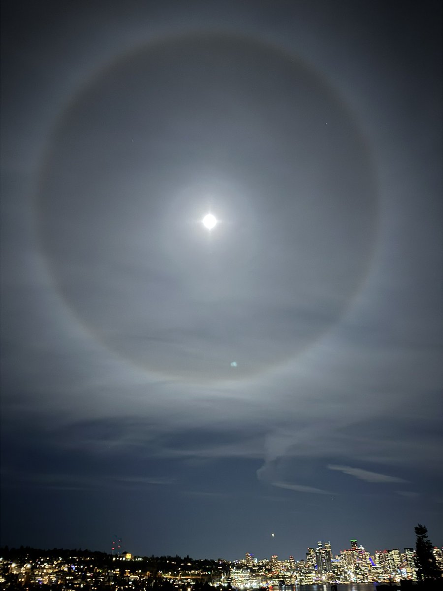 Bubb Rubb tweet media