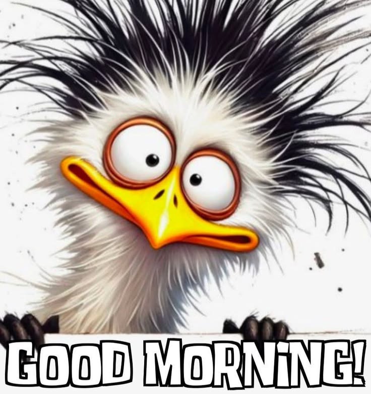 Flauschi/simi tweet media