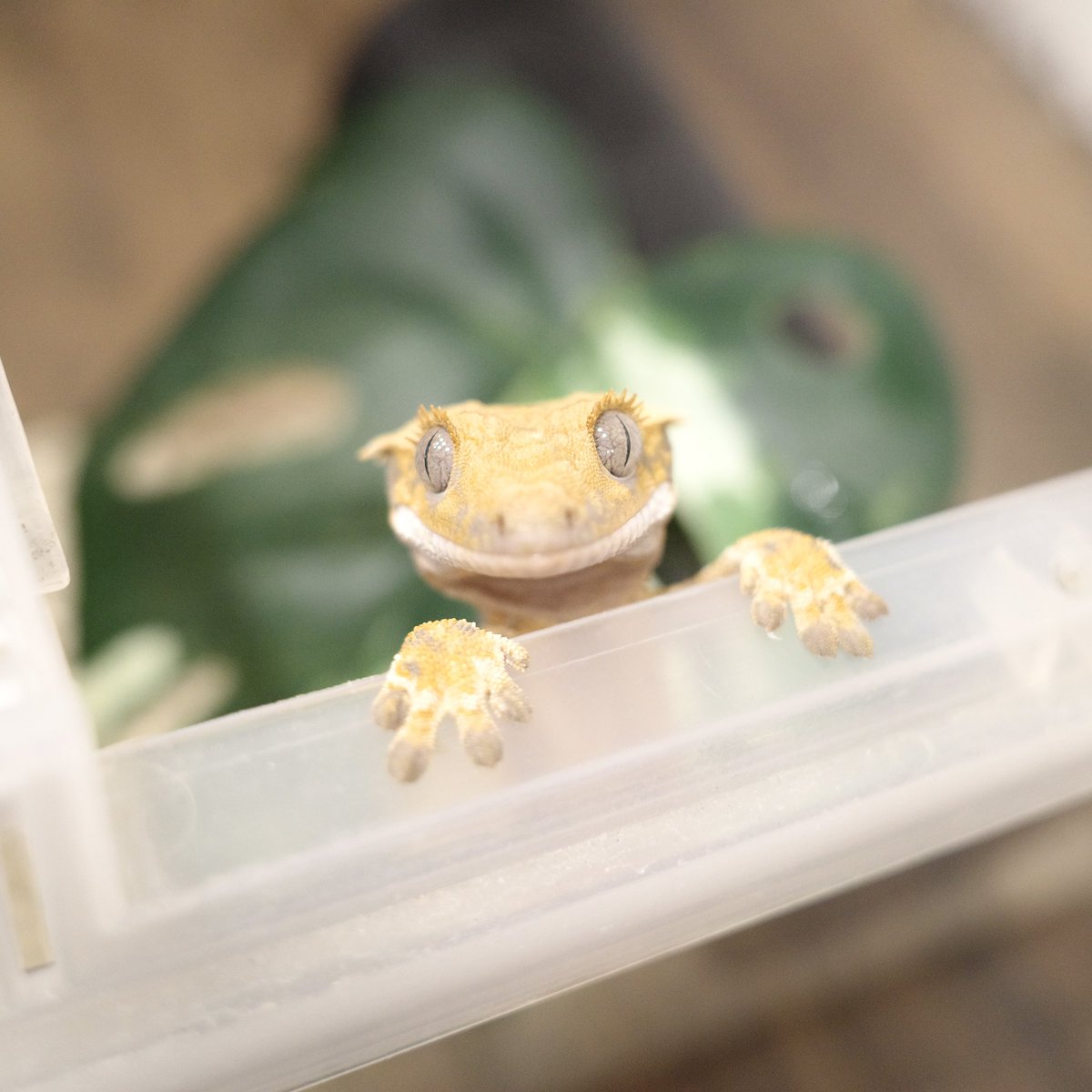 Mir J♥️ tweet media