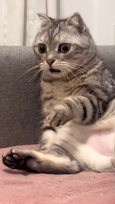 𝒰𝒿𝒿𝓌𝒶𝓁 tweet media