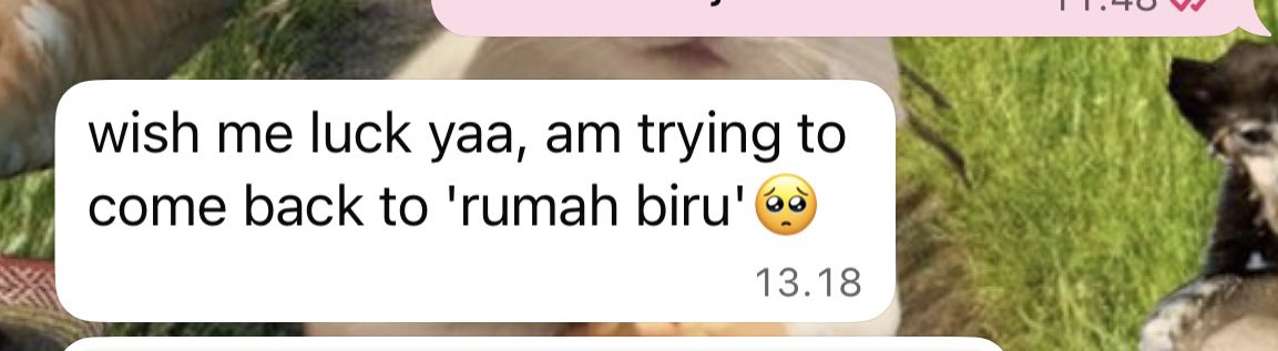 Yiyiyiyiyikkkkkk tweet media