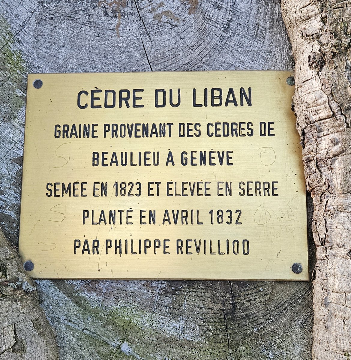 United Nations Geneva tweet media