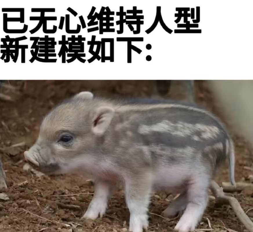 ❤️♡vvw𖤐*̩̩͙⸝⋆💞ʚめめɞ🪷 tweet media