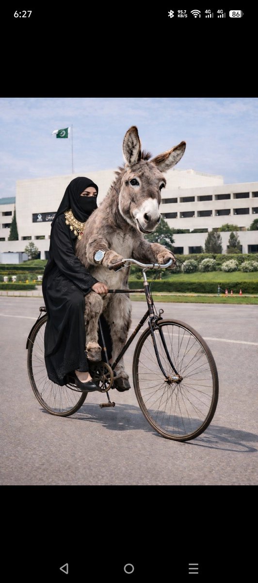 سیاسی پٹواری tweet media