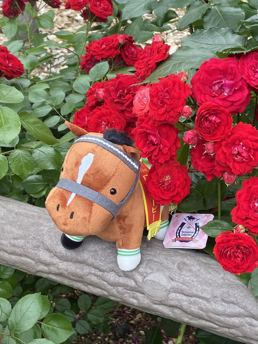 あかね@喫茶あかね tweet media