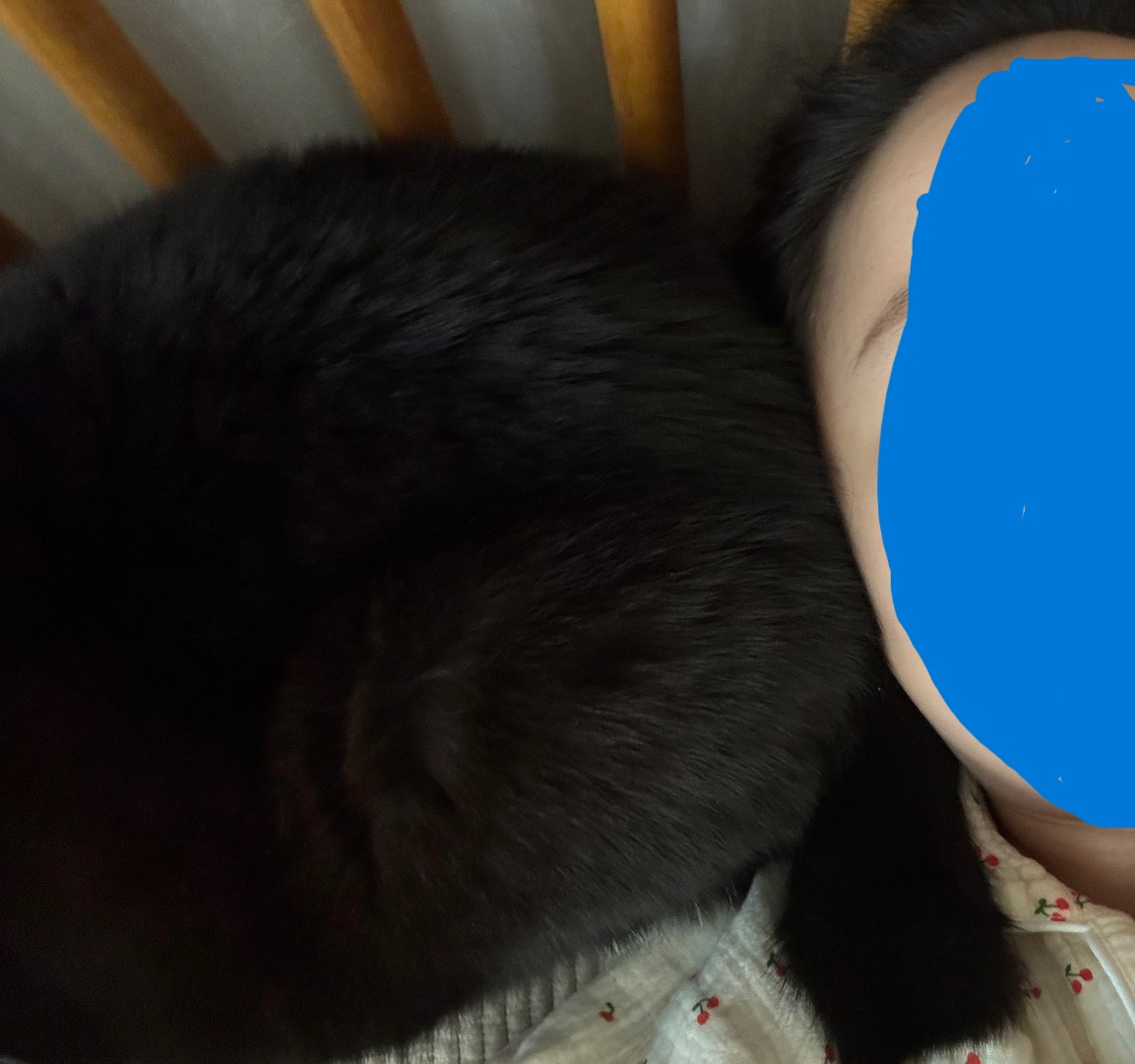 고동민 tweet media