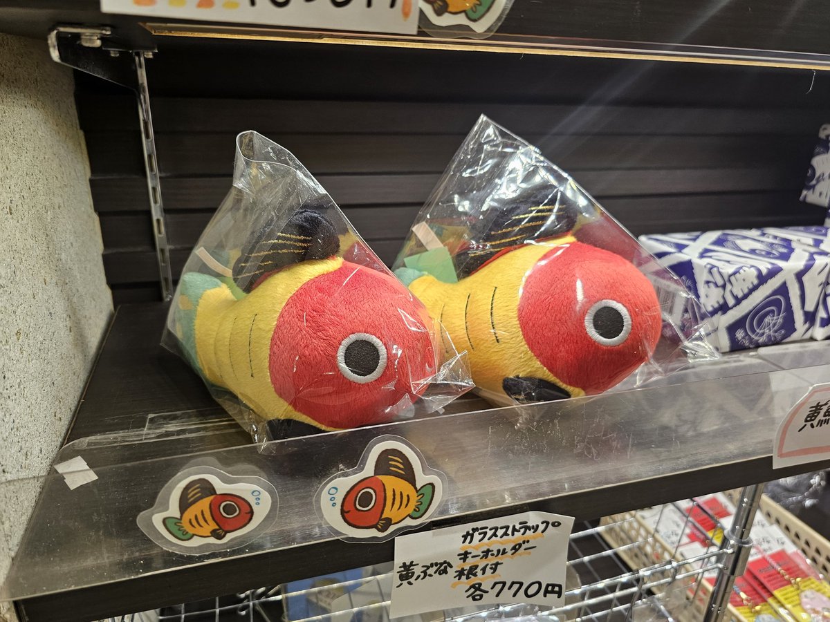 ゲンゴロウ飼育ブログ🗯 tweet media