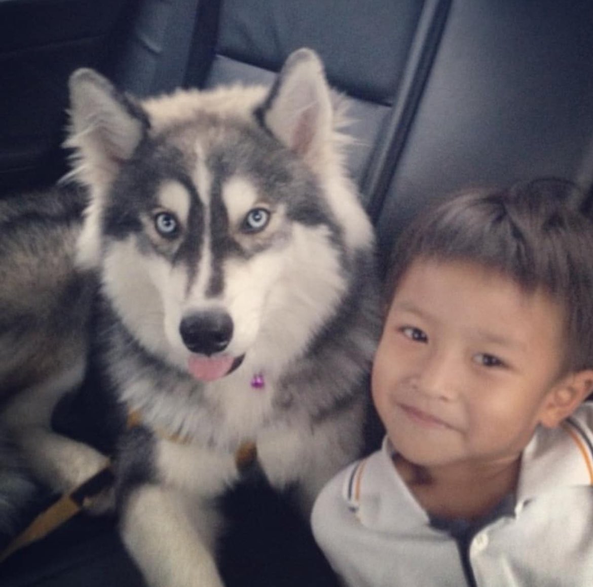 tanannat_tt's tweet photo. เมื่อวานไปดูโกฮังหัวใจโกโฮมมา คือคิดถึงเดม่อนมากๆ “เหนื่อยใช่มั้ยเดม่อน” คือประโยคที่รีเลทกับเฟรมมากๆตอนดูหนังเรื่องนี้ เป็นหนังที่พาเฟรมย้อนความทรงจำที่มีกับเดม่อนเยอะมาก หนังGDHทำถึงอีกแล้ว 
คิดถึงนะเดม่อน จะสองปีแล้วที่เดม่อนไปวิ่งเล่นอยู่บนดาวหมา มีความสุขดีมั้ยย คิดถึงจัง https://t.co/8CyB6jxhzW