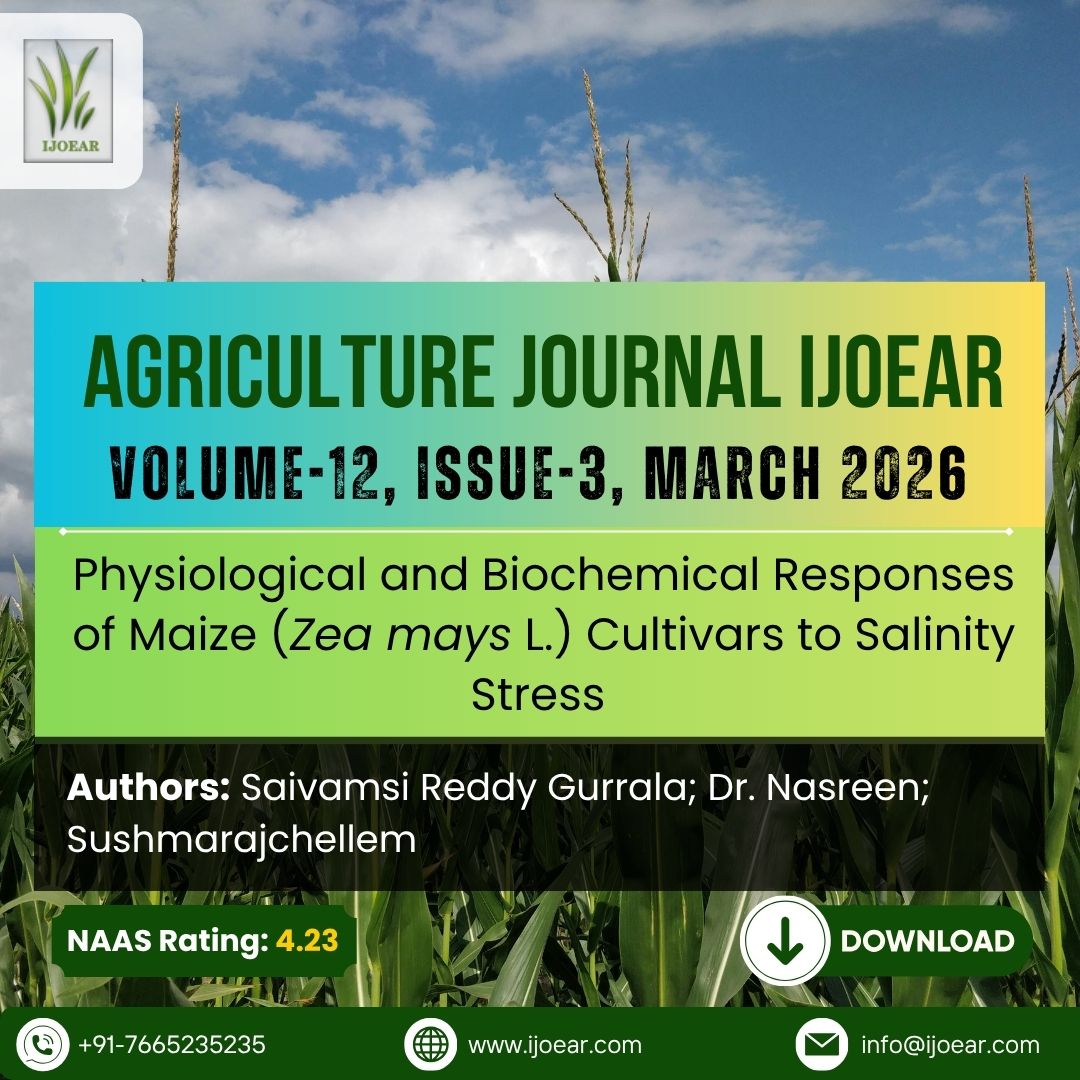 AD Publications tweet media