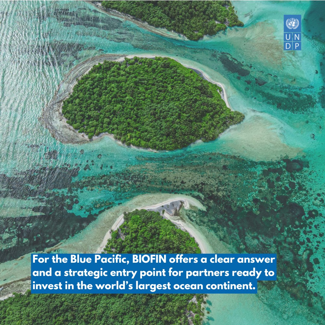 UNDP_Pacific's tweet photo. What will the Pacific bring to the world stage in this rare Tri #COP year? As 2026 emerges as a defining year for our planet, the Pacific is stepping into a leadership moment. Our latest blog dives into why this year matters more than ever.
Read more here🔗https://t.co/RpVkUMLXWM https://t.co/U0Uiv89xne