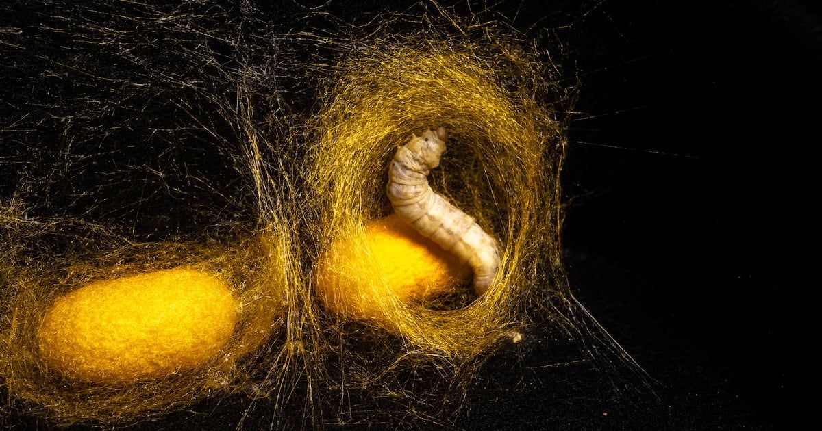 NutraIngredients Asia tweet media