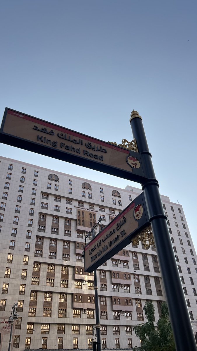 gal 🍉 tweet media