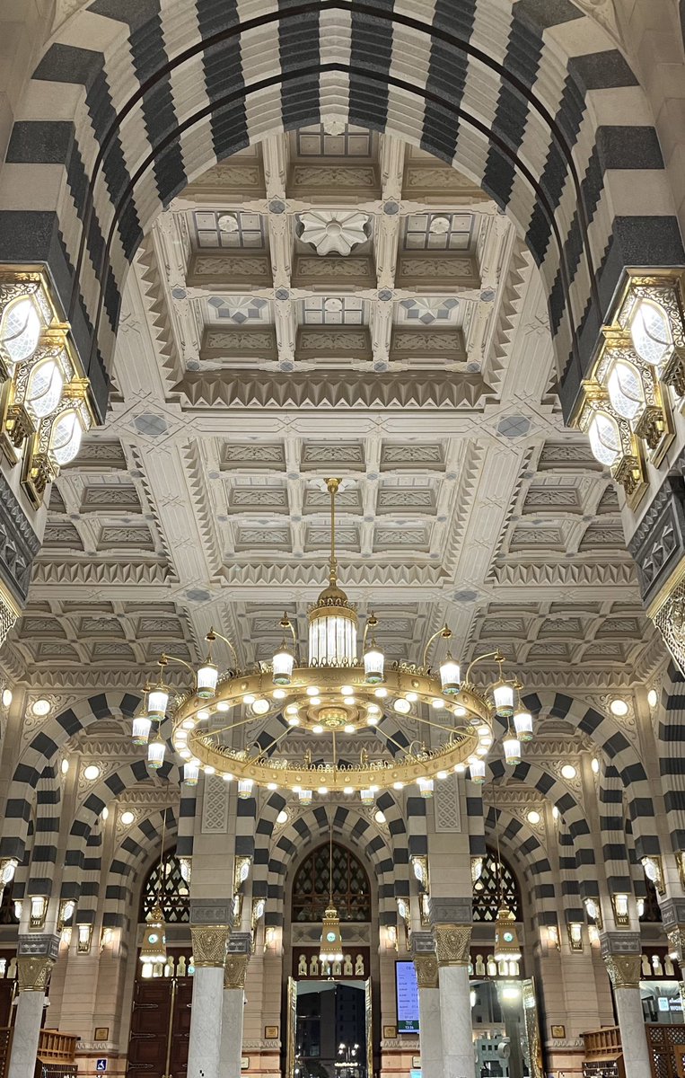 gal 🍉 tweet media