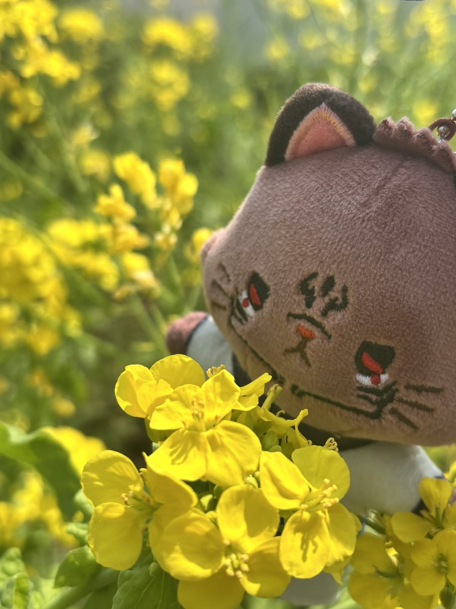 土日に🌸見行ってきたーーー！