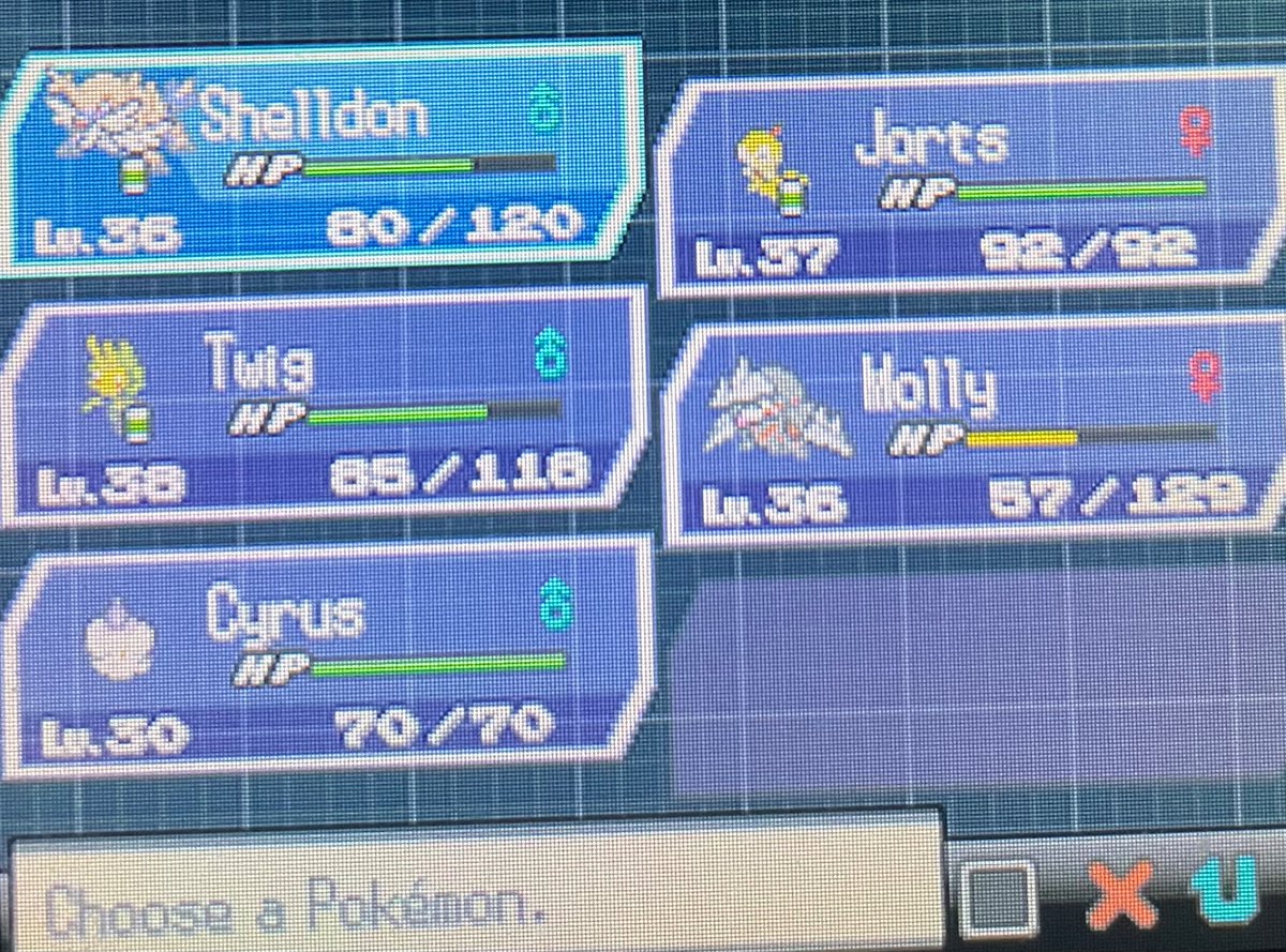 Bonsai/#1 leavanny fan tweet media