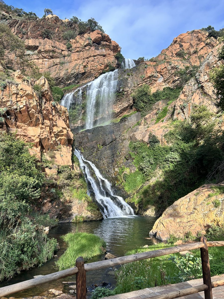 Miss K 💜 tweet media