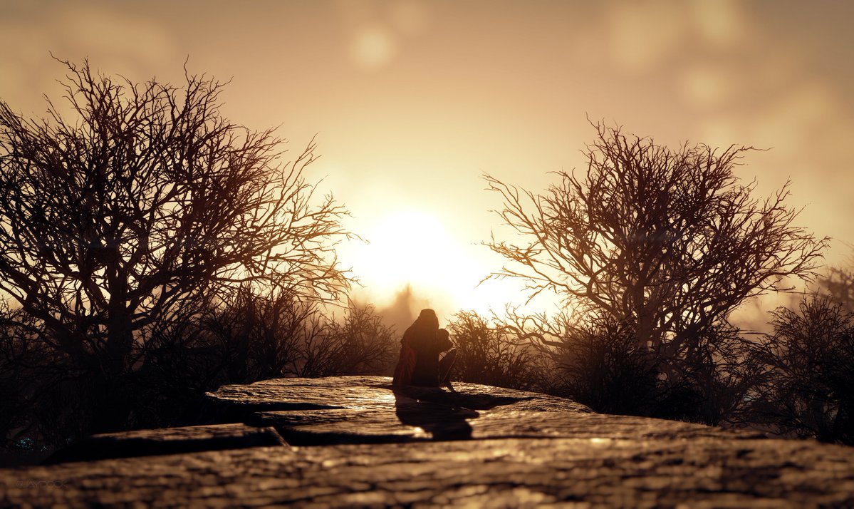 Jay Dook tweet media