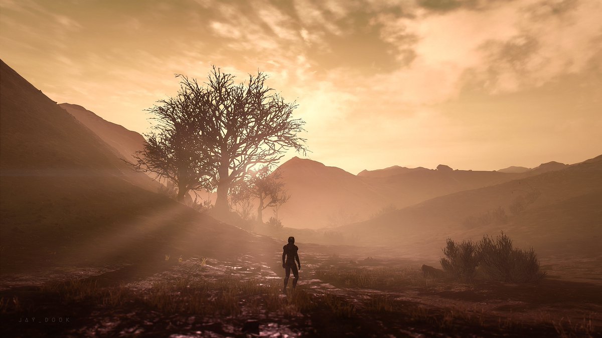 Jay Dook tweet media