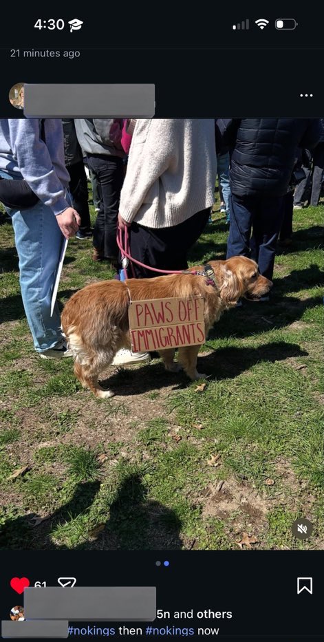 Mike “levitating hat” Studdler tweet media
