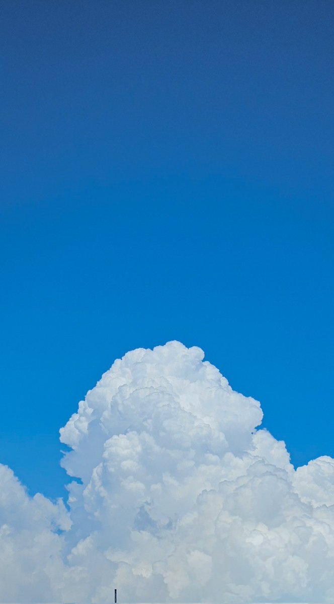 Sitting Idli tweet media