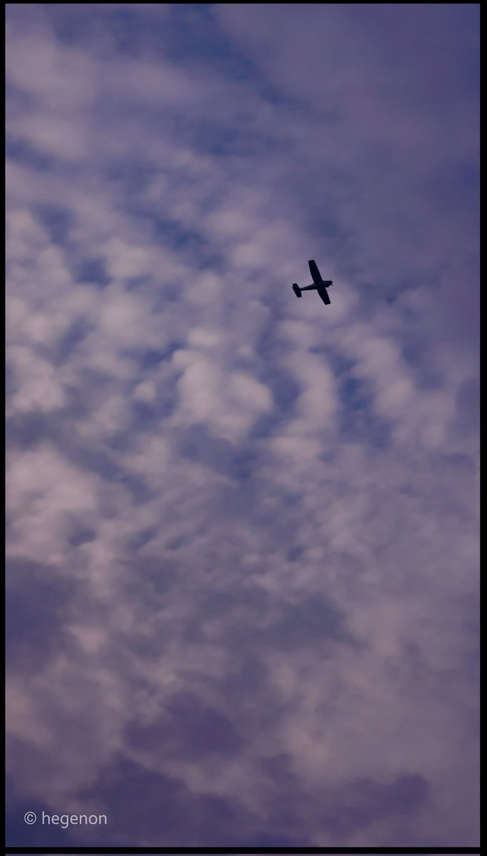 Sitting Idli tweet media