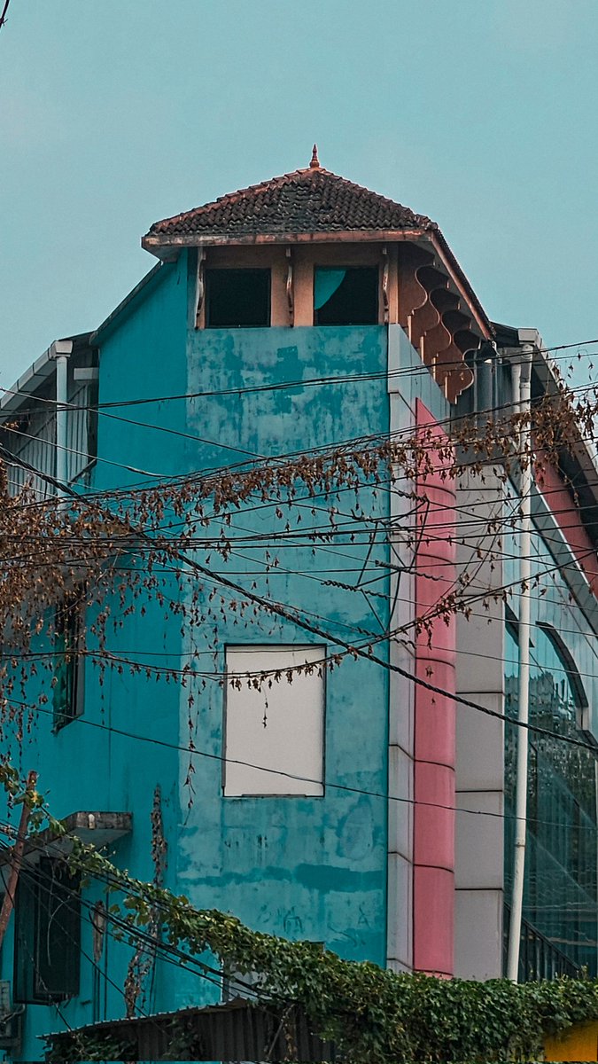 Sitting Idli tweet media