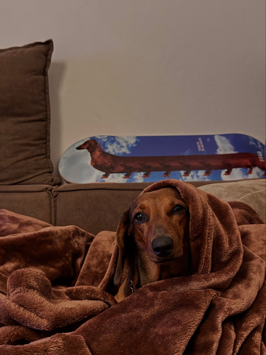 Nico 𝕏 tweet media