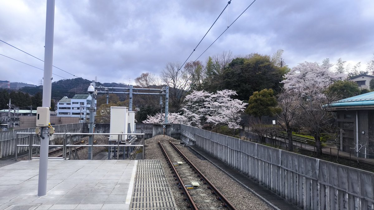 カスミ by よしさん tweet media