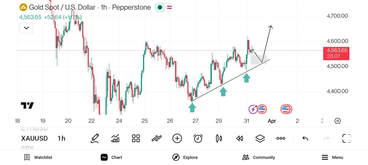 𝑻𝒆𝒄𝒉𝒏𝒊𝒄𝒂𝒍 𝑷𝒊𝒑𝒔™ tweet media