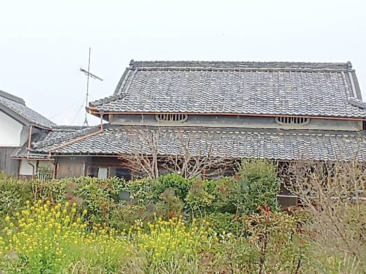 Azul@ケレタロ tweet media