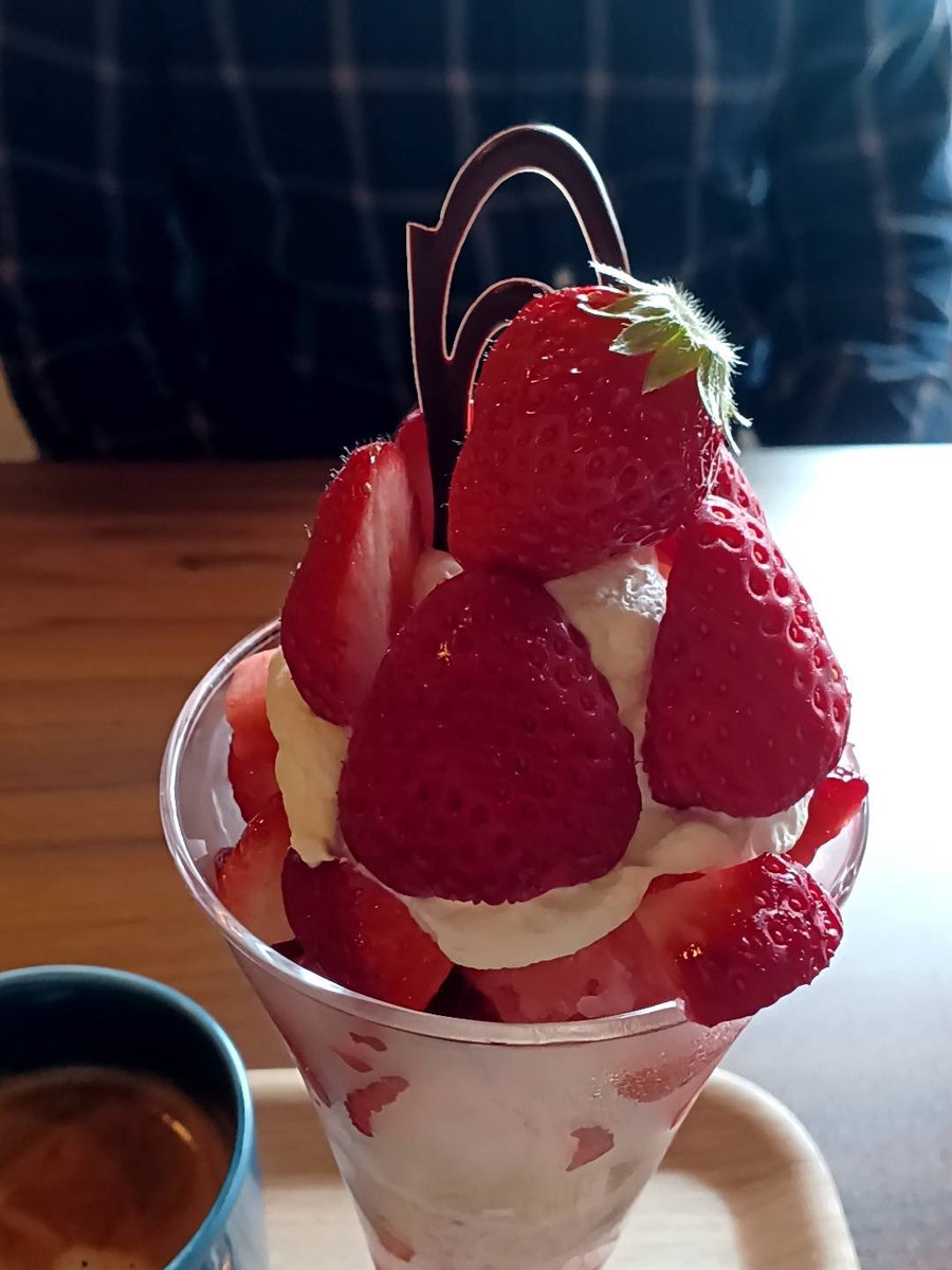 Azul@ケレタロ tweet media