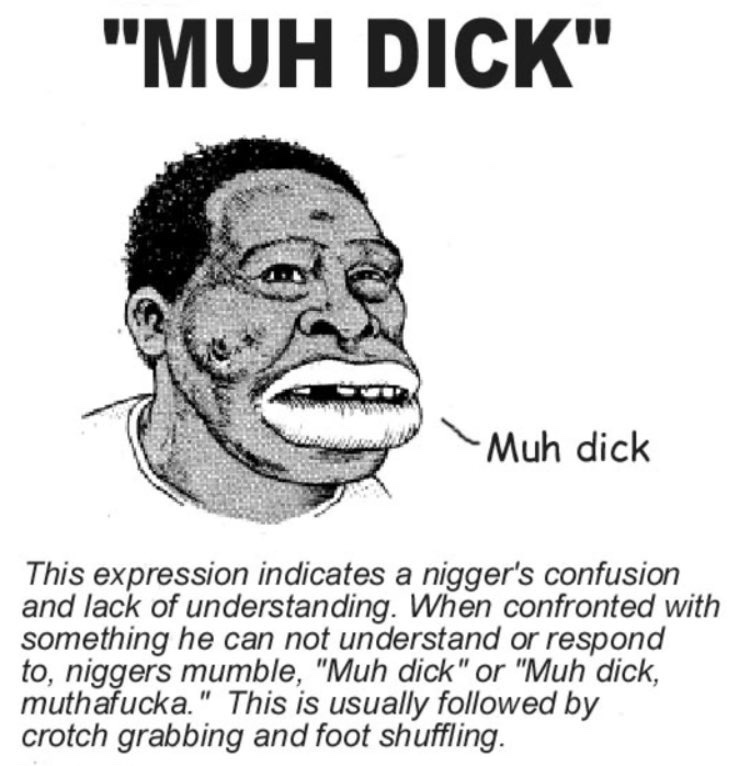 Eilo Evergreen tweet media