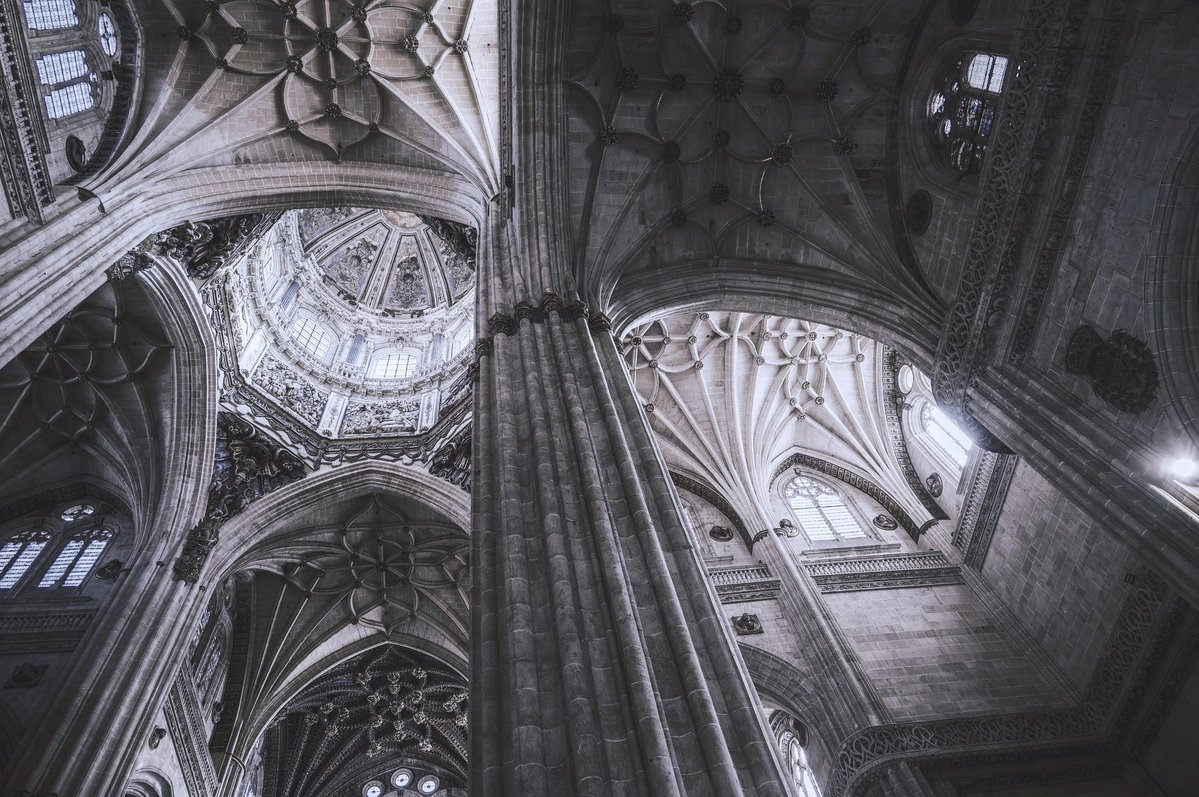 𝗪𝗨𝗞𝗢𝗡𝗚 【 孫悟空 • 行者 】 tweet media