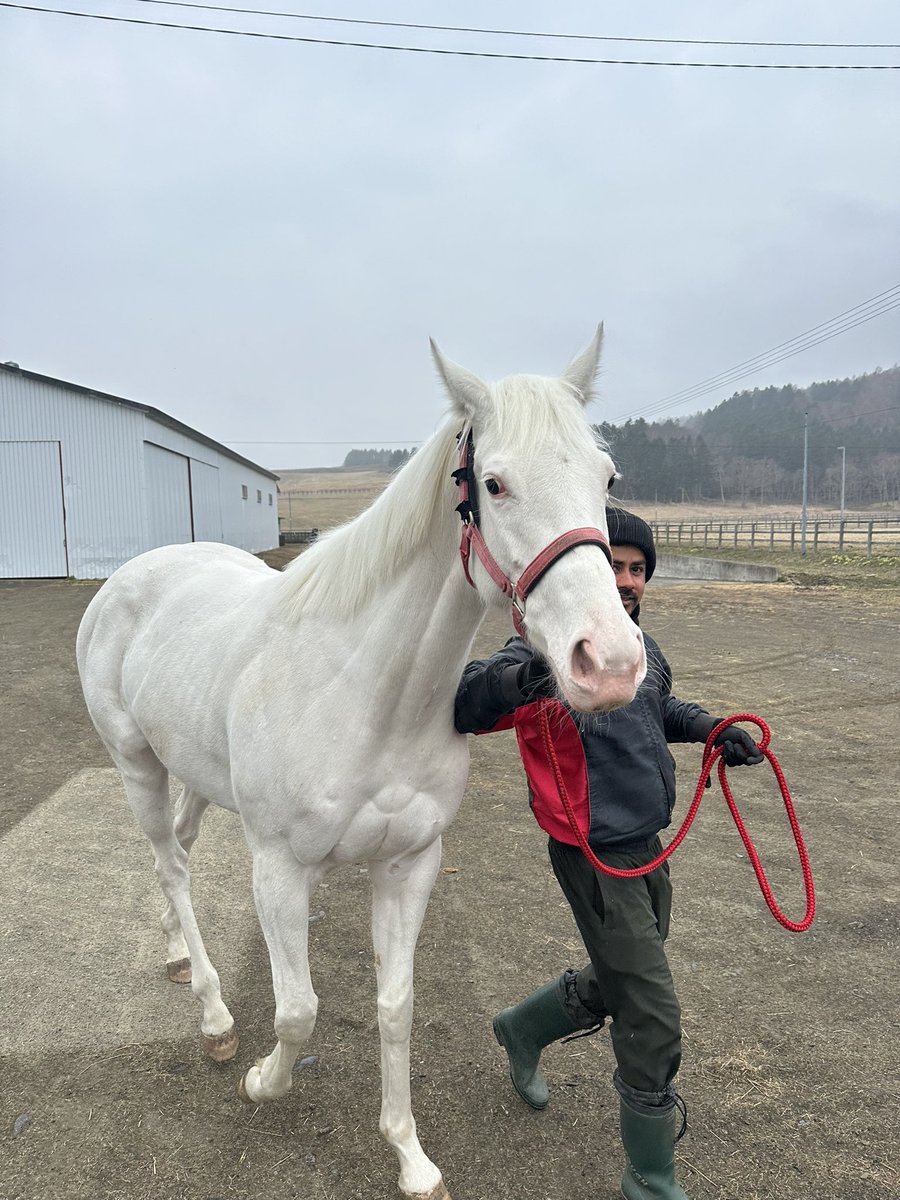 東 雄吾(辻牧場イヤリング厩舎長) tweet media