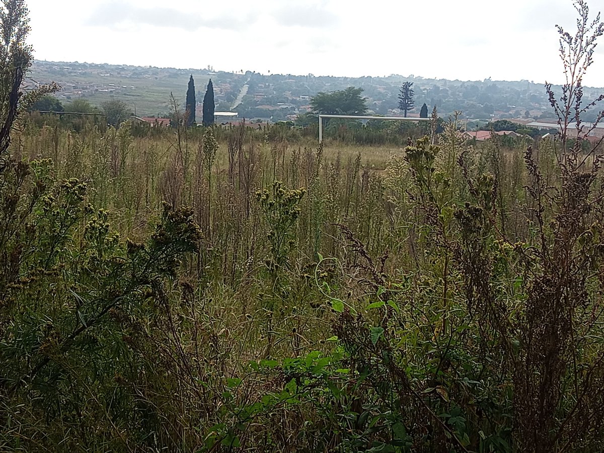 Mduduzi JT tweet media