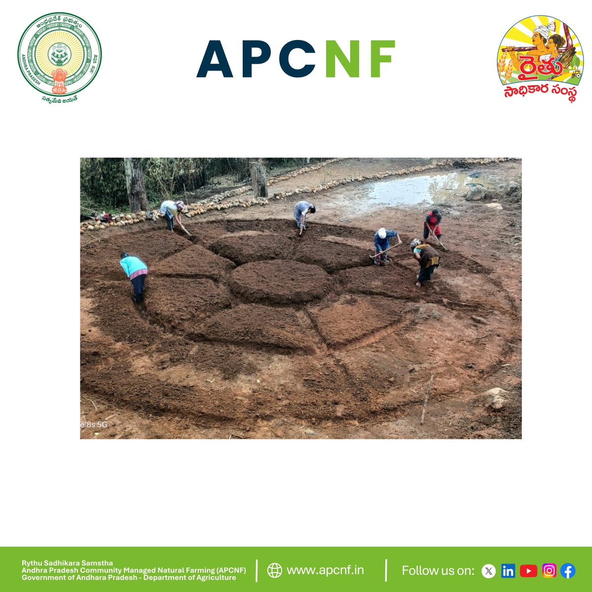 Andhra Pradesh Community-managed Natural Farming tweet media