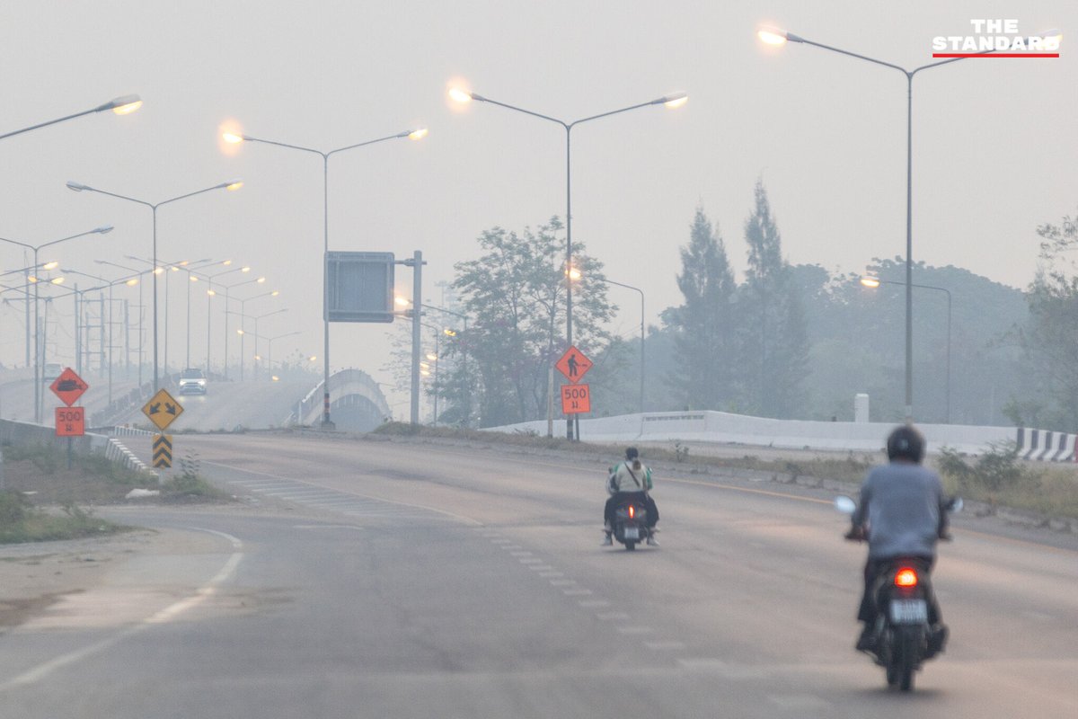 Tarot to youuuu tweet media