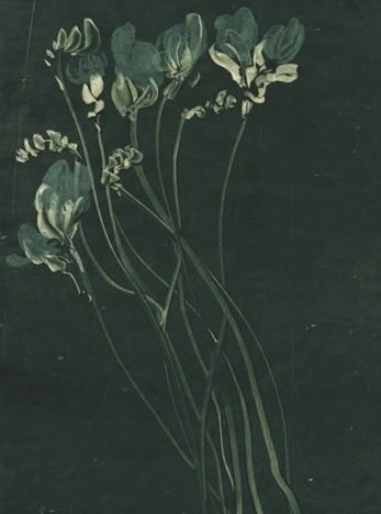 Waiting for the night ... tweet media