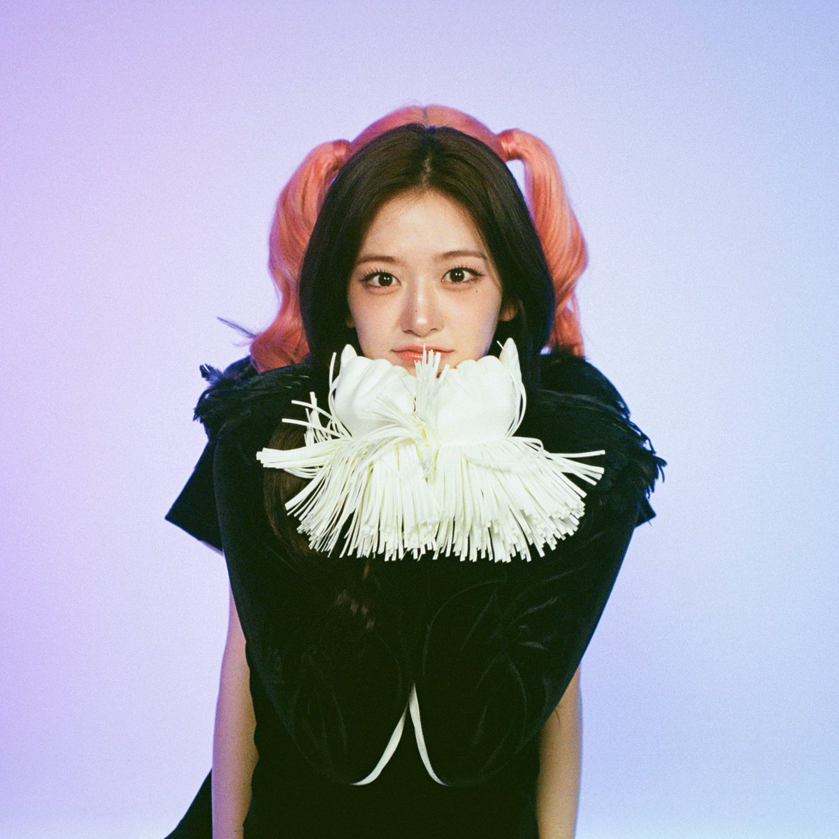 민무늬 tweet media