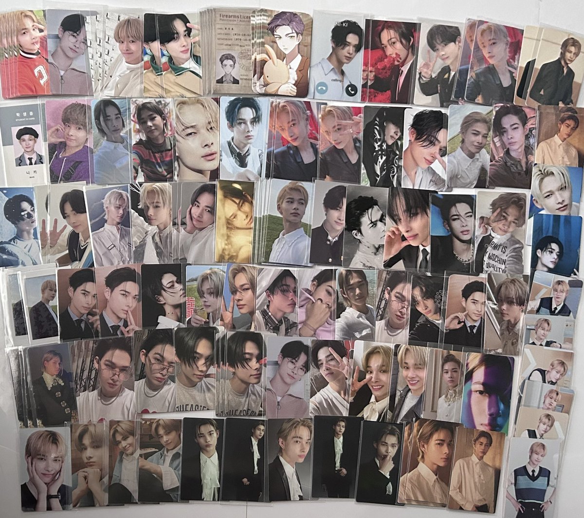 (̨̡ ⸝⸝ᐢ.ˬ.ᐢ⸝⸝ )̧̢ tweet media