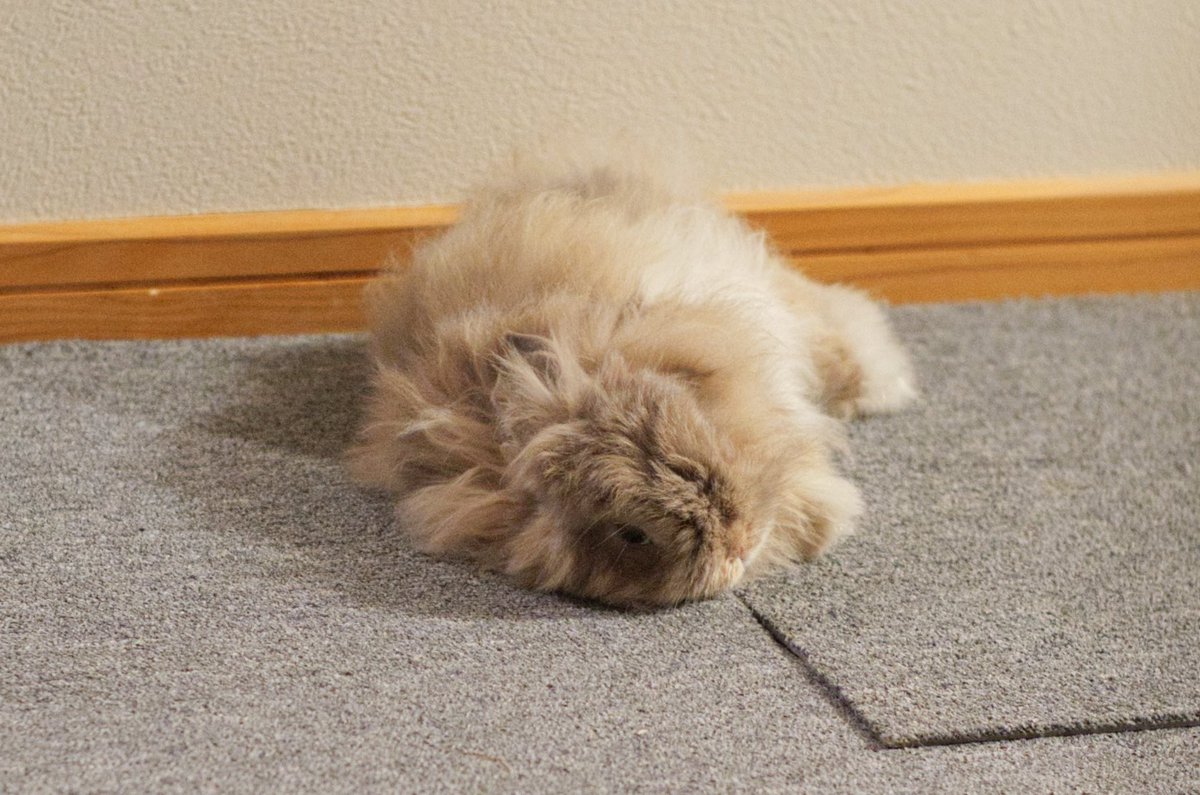 ふわふわ