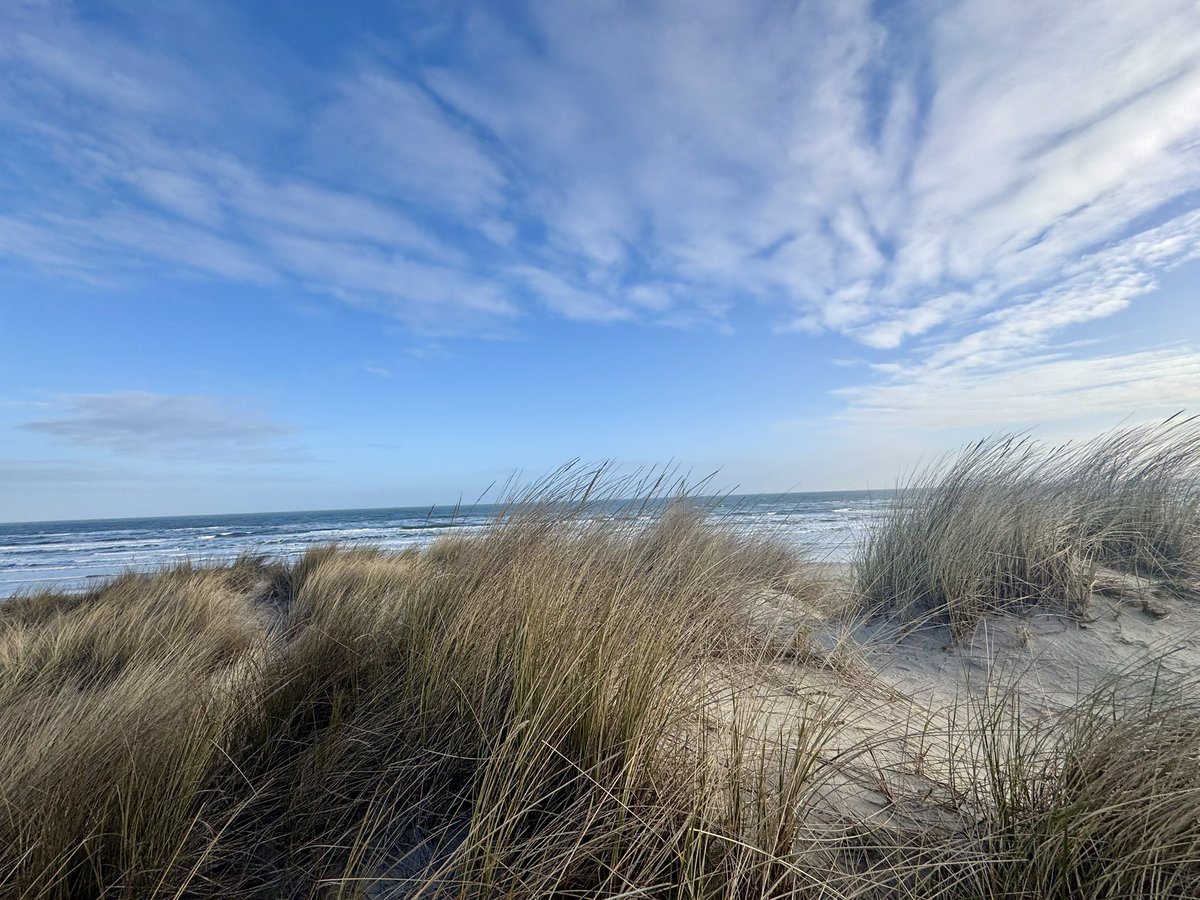 richardtkiewiet tweet media