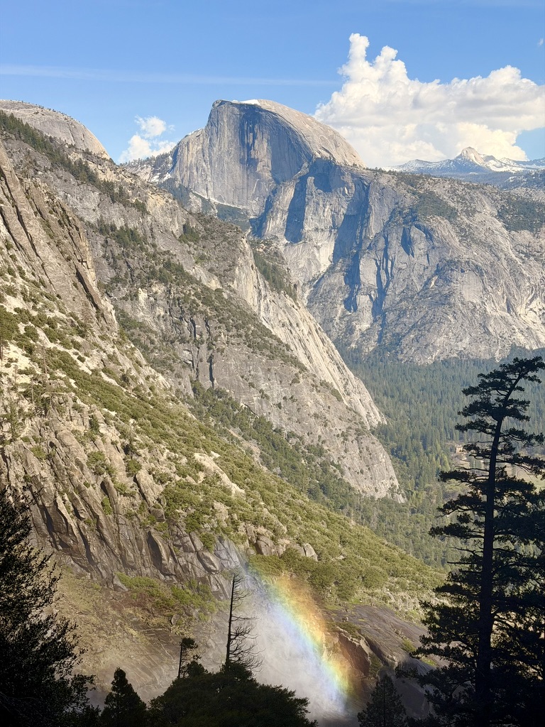 Kevin Thomas tweet media