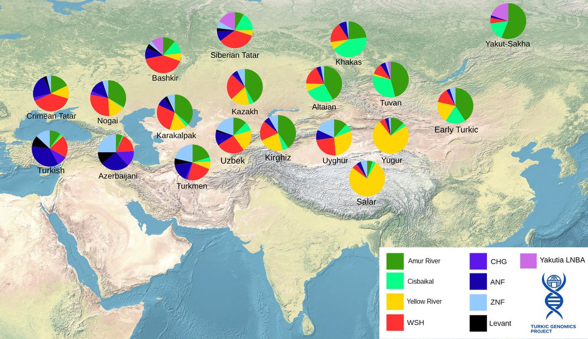 Turkic Genomics Project tweet media